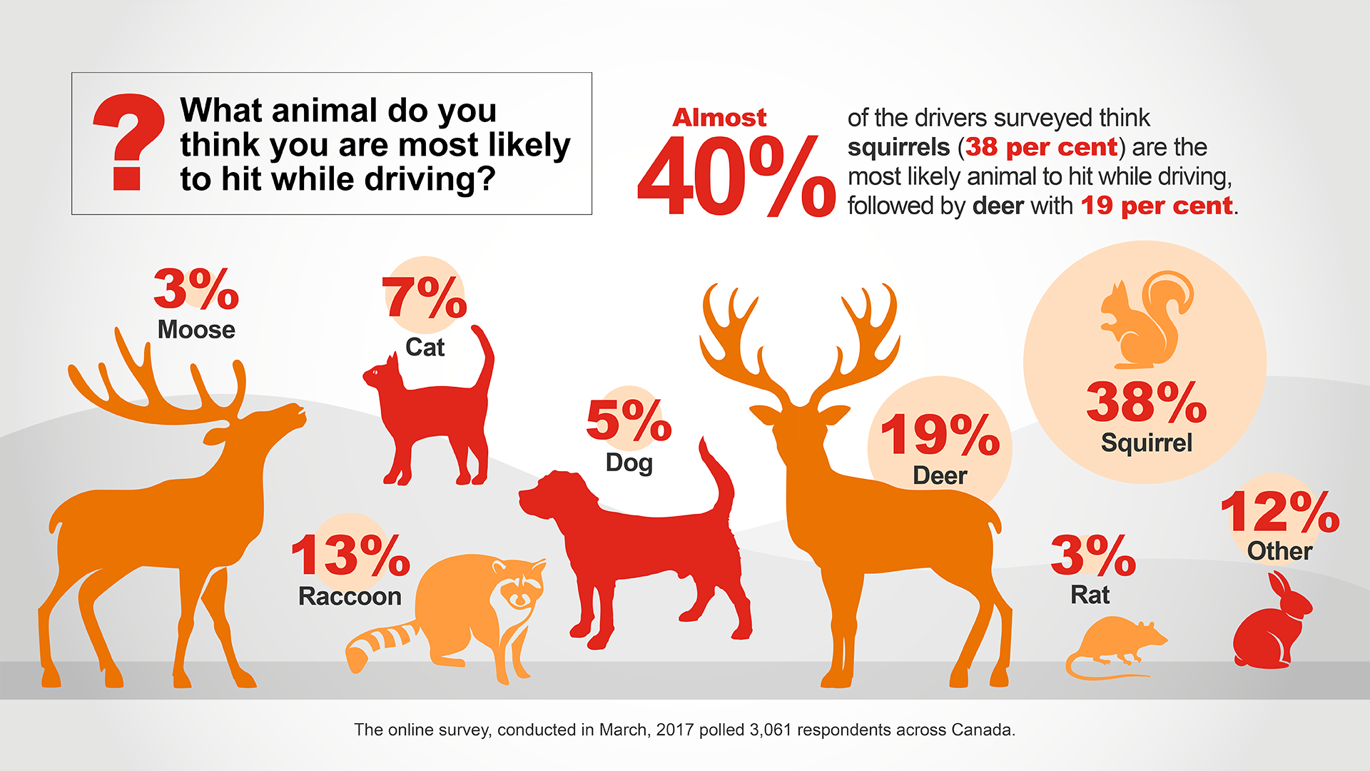 Studio 141 inc portfolio state farm insurance infographic