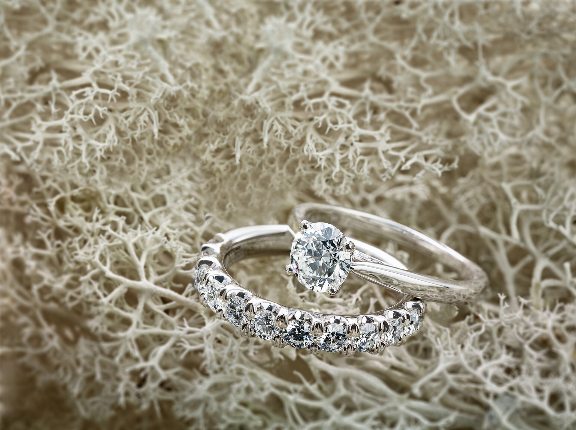Studio141 inc portfolio styling diamond rings
